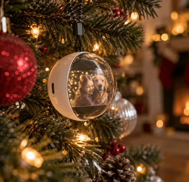 Memory Orb ornament hanging on a Christmas tree playing a photo of a girl and her dog