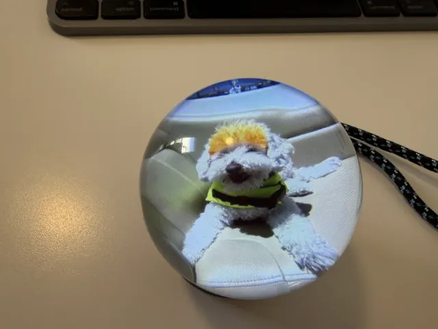 Memory Orb playing a video of a small white dog